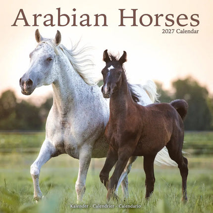 Avonside Arabier Kalender 2027