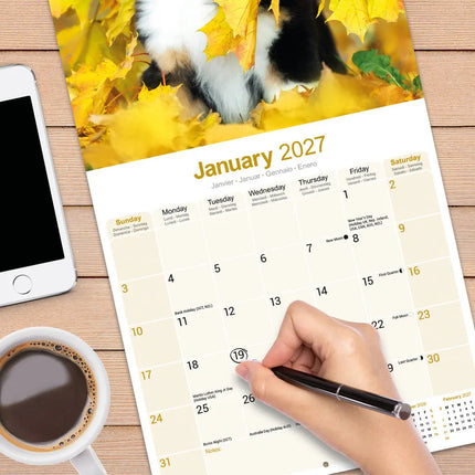 Avonside Australian Shepherd Kalender 2027