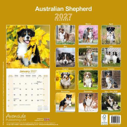 Avonside Australian Shepherd Kalender 2027