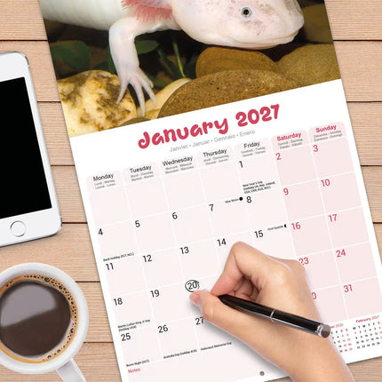 Avonside Axoloths Kalender 2027