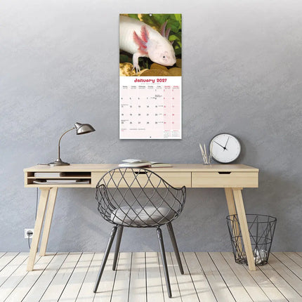 Avonside Axoloths Kalender 2027