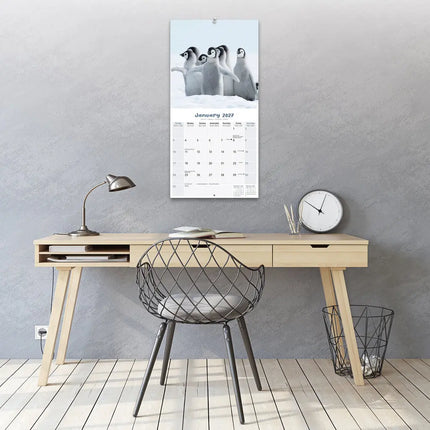 Avonside Baby Animals Kalender 2027