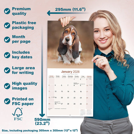 Avonside Basset Hound Kalender 2026