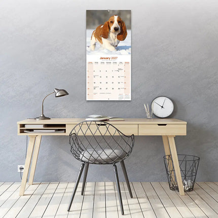 Avonside Basset Hound Kalender 2027