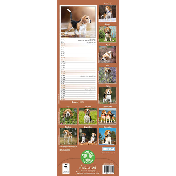 Avonside Beagle Kalender 2026 Slimline