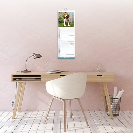Avonside Beagle Kalender 2026 Slimline