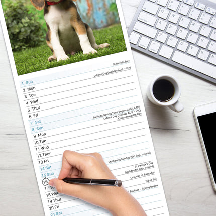 Avonside Beagle Kalender 2026 Slimline