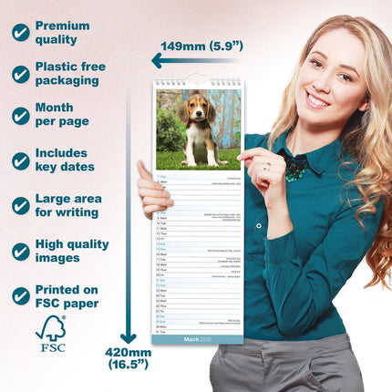 Avonside Beagle Kalender 2026 Slimline