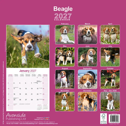 Avonside Beagle Kalender 2027