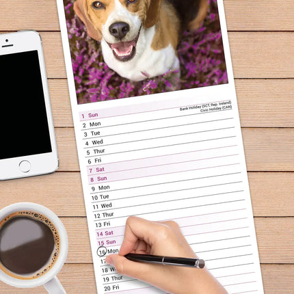 Avonside Beagle Kalender 2027 Slimline