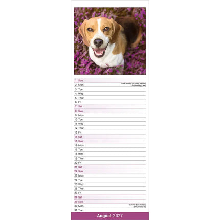 Avonside Beagle Kalender 2027 Slimline