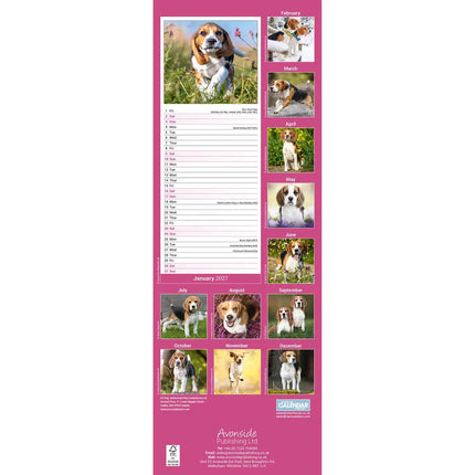 Avonside Beagle Kalender 2027 Slimline