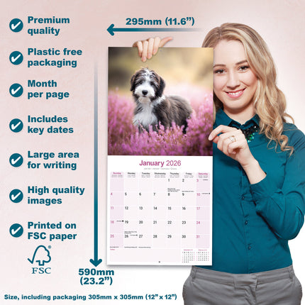 Avonside Bearded Collie Kalender 2026