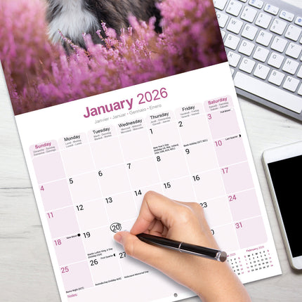 Avonside Bearded Collie Kalender 2026