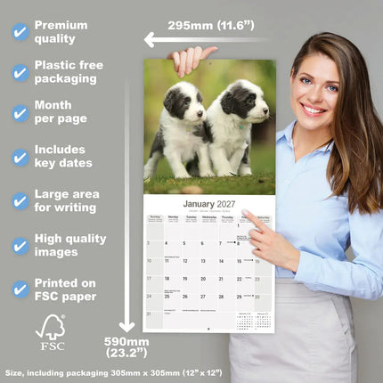 Avonside Bearded Collie Kalender 2027
