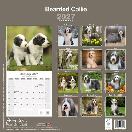 Avonside Bearded Collie Kalender 2027