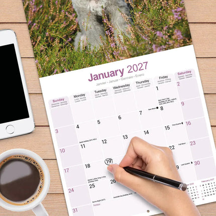 Avonside Bedlington Terrier Kalender 2027