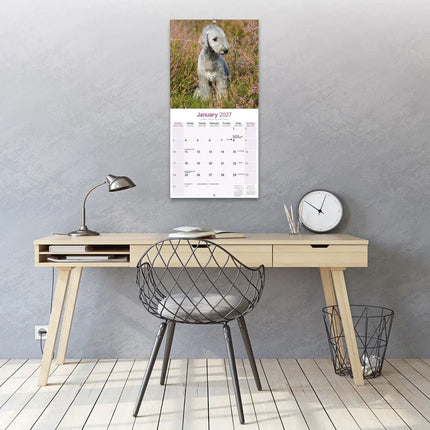 Avonside Bedlington Terrier Kalender 2027