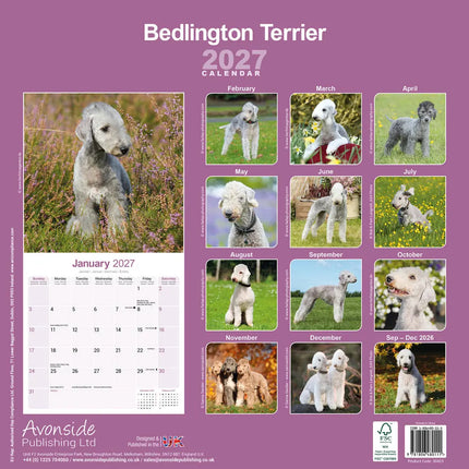 Avonside Bedlington Terrier Kalender 2027
