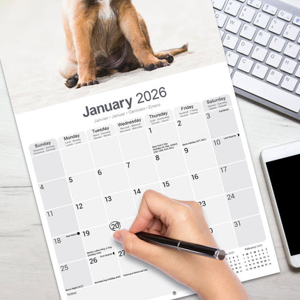 Avonside Belgische Herder Kalender 2026
