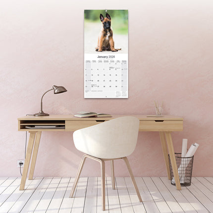Avonside Belgische Herder Kalender 2026
