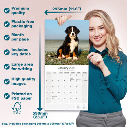 Avonside Berner Sennen Kalender 2026