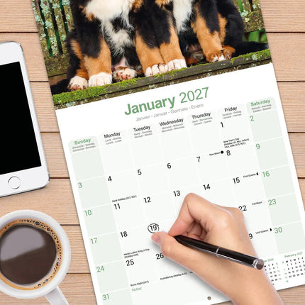 Avonside Berner Sennen Kalender 2027