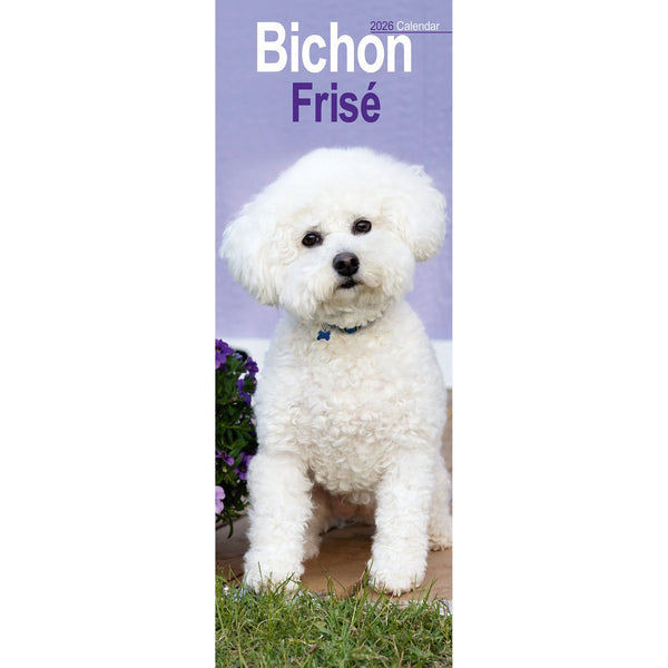 Avonside Bichon Frise Kalender 2026 Slimline