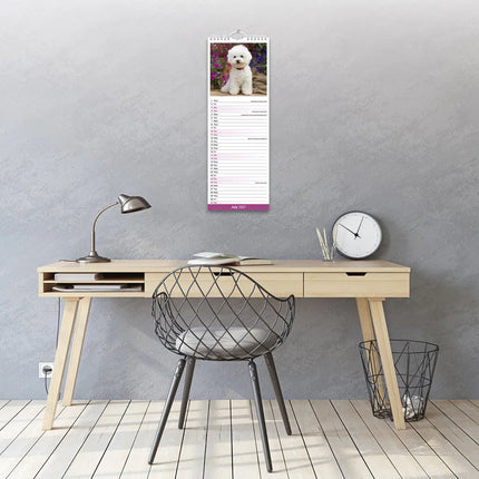 Avonside Bichon Frise Kalender 2027 Slimline