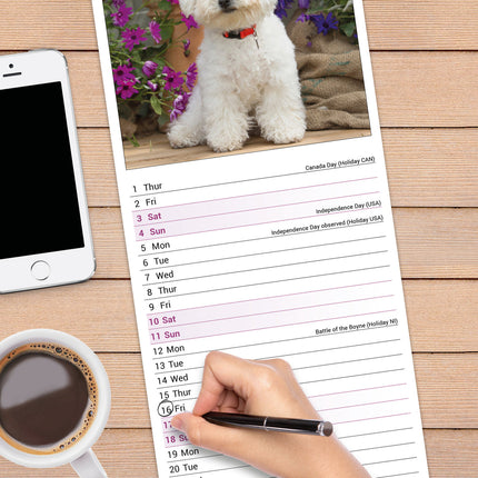 Avonside Bichon Frise Kalender 2027 Slimline