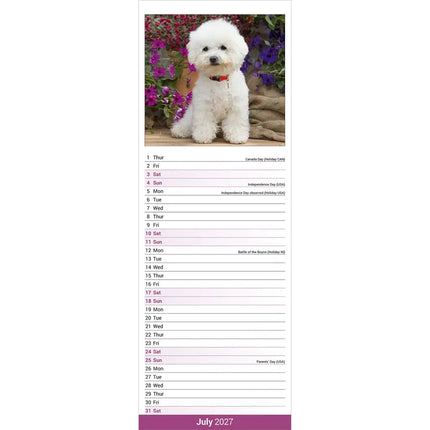 Avonside Bichon Frise Kalender 2027 Slimline