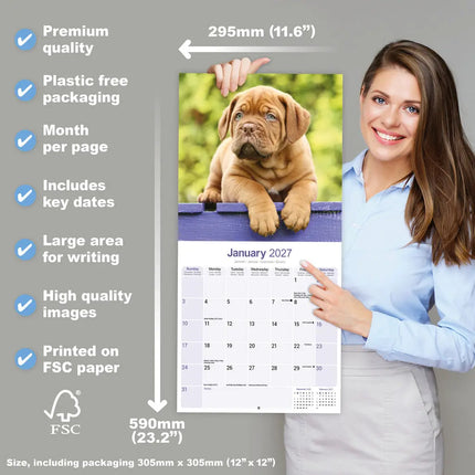 Avonside Bordeaux Dog Kalender 2027