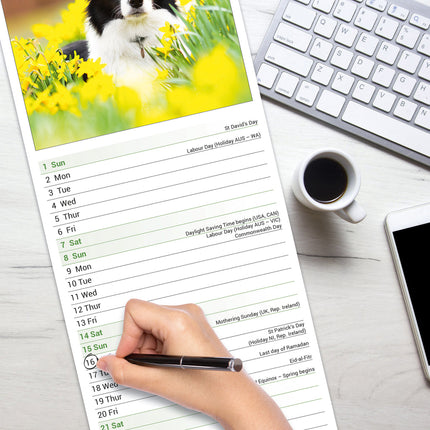 Avonside Border Collie Kalender 2026 Slimline