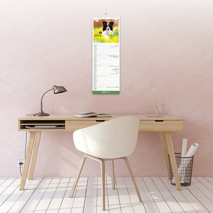 Avonside Border Collie Kalender 2026 Slimline
