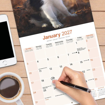Avonside Border Collie Kalender 2027