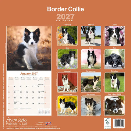 Avonside Border Collie Kalender 2027