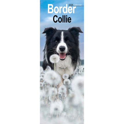 Avonside Border Collie Kalender 2027 Slimline