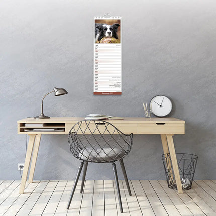 Avonside Border Collie Kalender 2027 Slimline