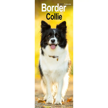 Avonside Border Collie Kalender 2027 Slimline