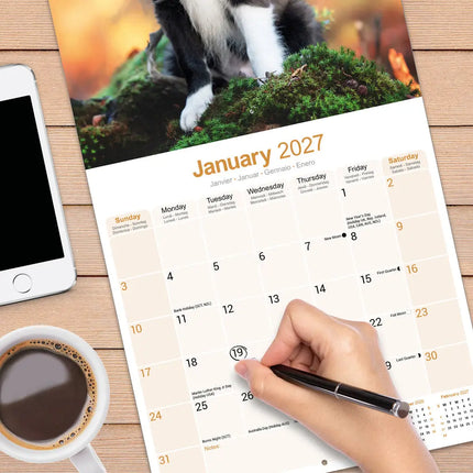 Avonside Border Collie Kalender Puppies 2027