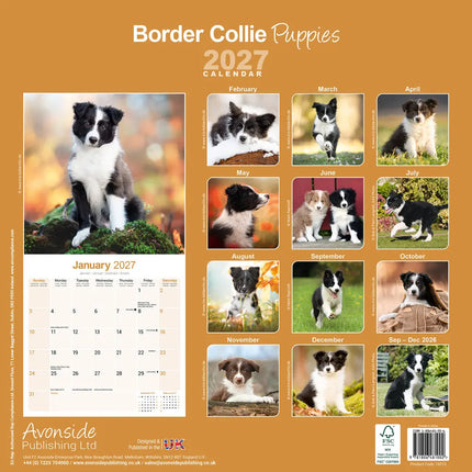 Avonside Border Collie Kalender Puppies 2027