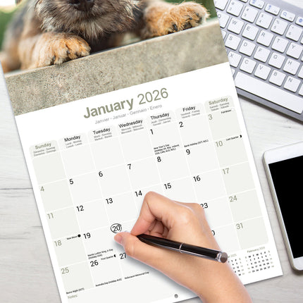 Avonside Border Terrier Kalender 2026