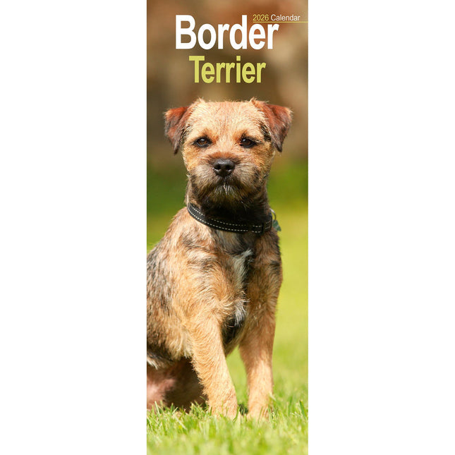 Avonside Border Terrier Kalender 2026 Slimline