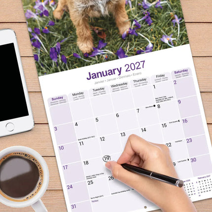 Avonside Border Terrier Kalender 2027