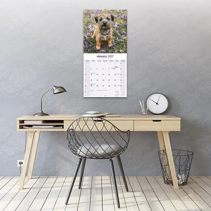Avonside Border Terrier Kalender 2027