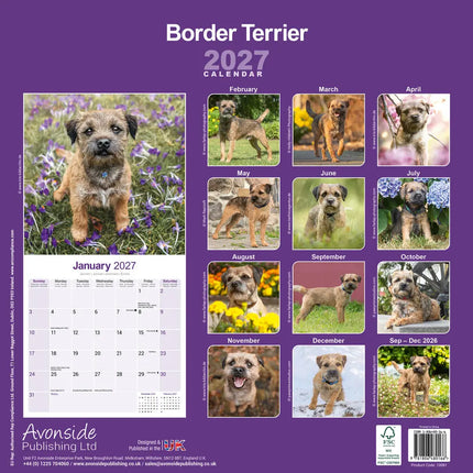 Avonside Border Terrier Kalender 2027