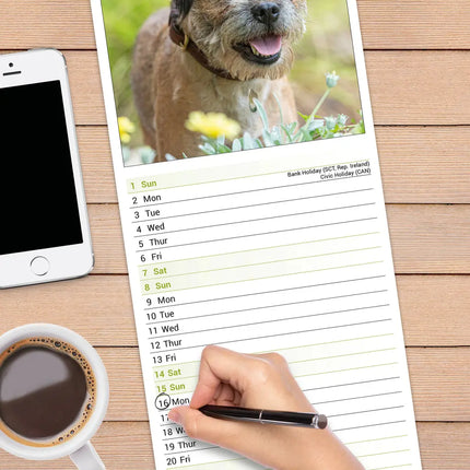 Avonside Border Terrier Kalender 2027 Slimline