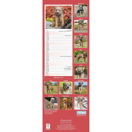 Avonside Border Terrier Kalender 2027 Slimline