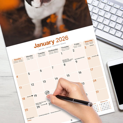 Avonside Boston Terrier Kalender 2026