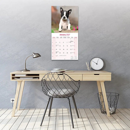 Avonside Boston Terrier Kalender 2027